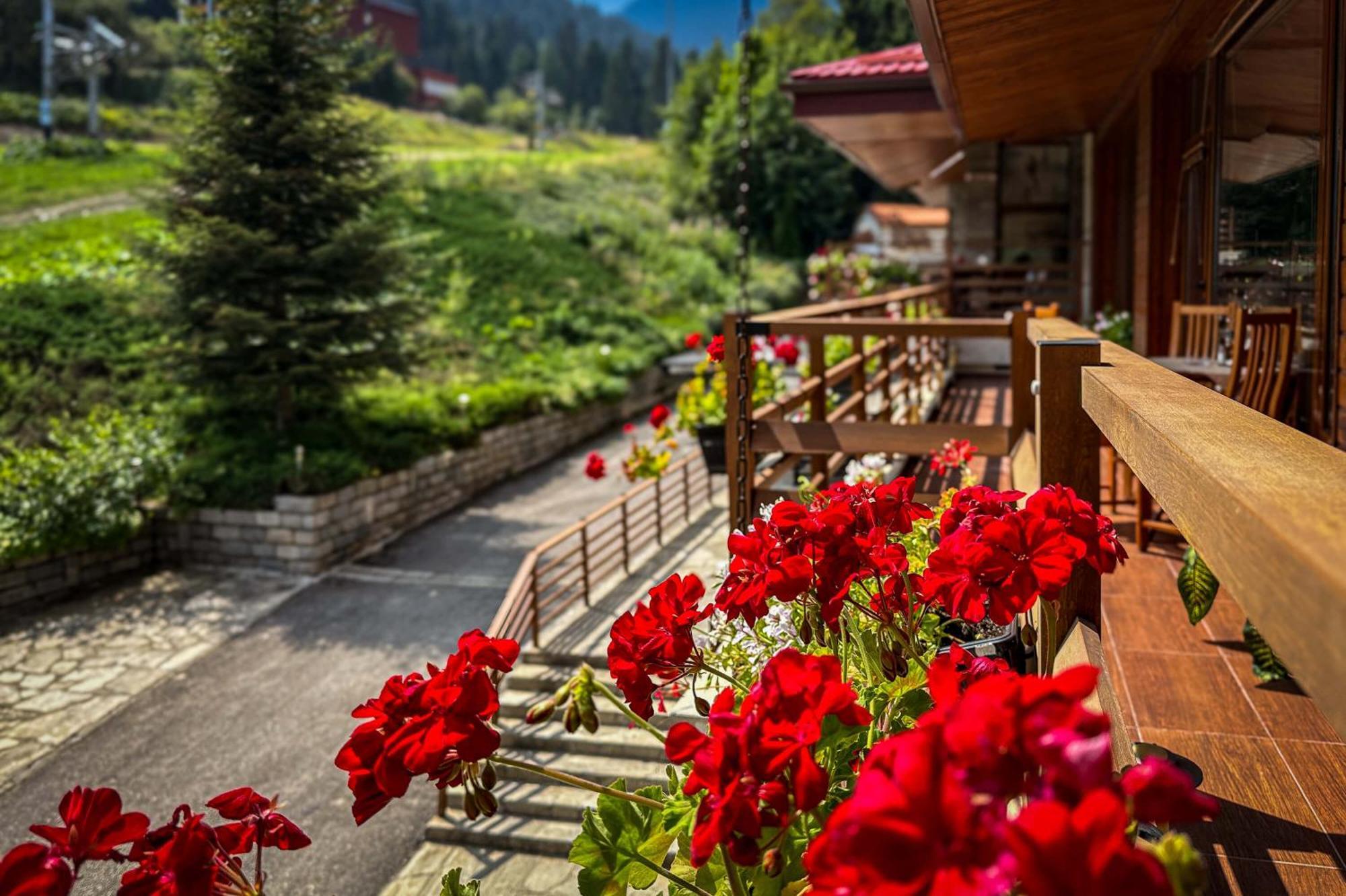 Musala Hotel Borowez Exterior foto
